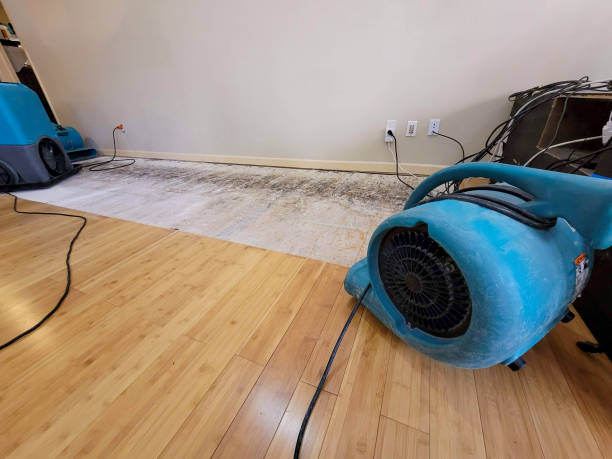 Professional Burst Pipe Water Damage technician working in Saint Croix Falls, WI